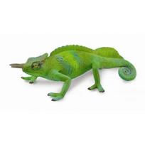 COLLECTA chameleonas Cameroon Sailfin L, 88805