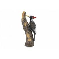 COLLECTA Balvasnapis juodasis genys L, 88802