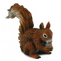 COLLECTA ėdanti raudonoji voverė (s) 88467