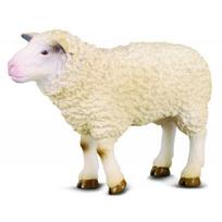 COLLECTA avis (m) 88008