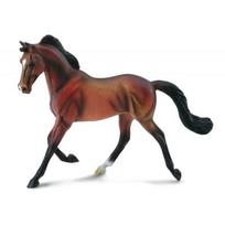 COLLECTA kumelė anglų grynakraujų veislės bėra collecta (xl) 88477