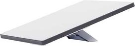 STARLINK Mini WLAN baltas/pilkas