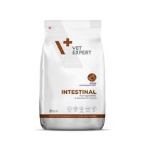 VET EXPERT Veterinary Diet Intestinal Dog - sausas šunų maistas - 2 kg