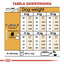 sunu maistas - Sausas Šunų Maistas - Royal Canin Prancūzų Buldogas Suaugusiųjų 9 Kg - 1 nuotrauka
