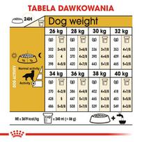 auksaspalvis retriveris - Sausas Šunų Maistas - Royal Canin Auksaspalvis Retriveris 12 Kg - 1 nuotrauka