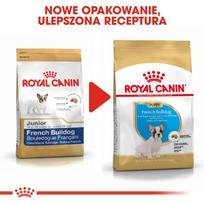 buldogu suniukas - Sausas Šunų Maistas - Royal Canin Prancūzų Buldogų Šuniukams - 1 nuotrauka
