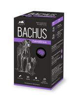 Bachus Calm&Brave pašaro papildas šunims ir katėms, N60