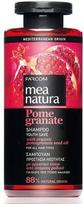 Šampūnas su organinių granatų sėklų aliejais Farcom Mea Natura Pome Granate Šampūnas Youth Save For All Hair Types 300 ml