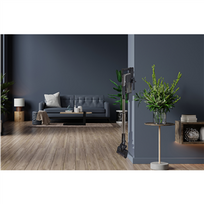 mova siurblys - Hisense HVC646630A - 11 nuotrauka