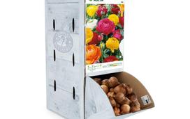Vėdryno svogūnėlis ASEJA Mix, 1 vnt., 6/7, Rackbox, 14707, (P)