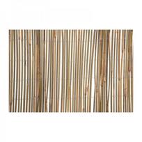 4Living Bambuko tvora, 1,5x5m