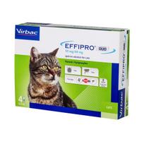 blusos - Virbac Effipro Duo, 50 mg/60 mg, katėms, N4 - 1 nuotrauka