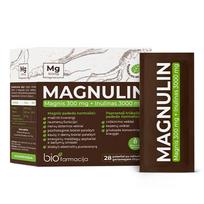 magnis - MAGNULIN Magnis 300 mg + Inulinas 3000 mg, 28 pakeliai - 2 nuotrauka