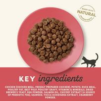 applaws adult cat - APPLAWS Sucha kurczak i łosoś 2 kg - 1 nuotrauka