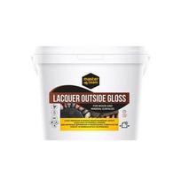 Lakas Master Team Lacquer outside, blizgus, 3 l