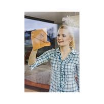 mikropluosto sluost - Vileda High Quality Cleaning Cloth 152928 - 2 nuotrauka