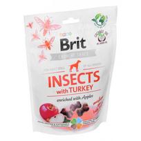 maistas vabzdziu - Brit Care Dog Insects&Turkey - Dog treat - 200 g - 2 nuotrauka