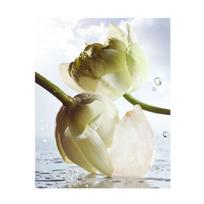 manotas - Bvlgari EDP Rain Essence 100 ml - 4 nuotrauka