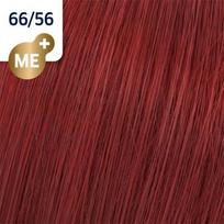 wella koleston - Wella Professionals Koleston Perfect Me+ profesionalūs plaukų dažai 60 ml. - 55/66 Sweet Chestnut Intense Violet - 77 nuotrauka