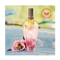 kvepalai moterims escada - Escada Brisa Cubana EDT 100 ml - 5 nuotrauka