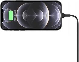 usb magnetic - „Belkin“ indukcinis įkroviklis (WIC004BTBK) - 5 nuotrauka