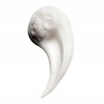 sampunas metal detox - L'Oreal Professionnel Serie Expert Metal Detox Anti-metal Cleansing Cream Shampoo šampūnas apsaugantis nuo metalų - 300 ml. - 10 nuotrauka