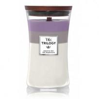 woodwick trilogy - WoodWick Trilogy Amethyst Sky, 65 h, 275 g, 120 mm x 100 mm - 2 nuotrauka