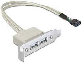Delock Adapter Bracket USB 9pin to USB x2 Grey 0.50m