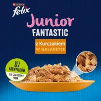 felix kaciu slapias - Šlapias kačių maistas Purina Felix Fantastic Junior, vištiena, 0.085 kg - 3 nuotrauka