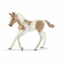 schleich horse - Schleich Paint Horse Foal 13886 - 1 nuotrauka