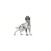 sunu gastrointestinal - Šlapias šunų maistas Royal Canin Veterinary Gastrointestinal, 0.2 kg - 1 nuotrauka