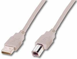usb b laidas 3m - Assmann Cable USB/USB Beige 3m - 1 nuotrauka