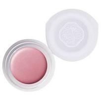 Shiseido Paperlight Cream Eye Color 6g PK201