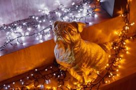 ismanieji - Kalėdinė išmanioji lempučių girlianda Twinkly Cluster- 400 Led 5x07m - 2 nuotrauka