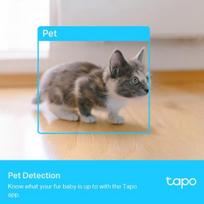 tp link tapo camera - TP-Link Tapo C225 - 2 nuotrauka
