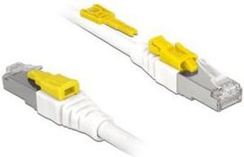 Delock Cable RJ45 Secure Cat. 6A 1m White