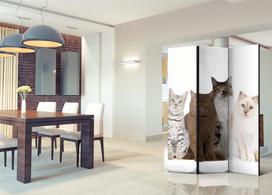 Širma Artgeist Sweet Cats Paravent1080, įvairių spalvų, 135 cm x 172 cm