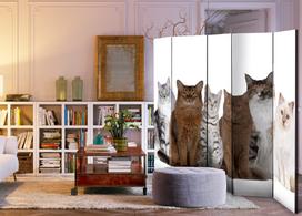 Širma Artgeist Sweet Cats Ii Paravent1081J, įvairių spalvų, 225 cm x 172 cm