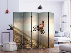 Širma Artgeist Motor Sport II Paraventtc2025, įvairių spalvų, 225 cm x 172 cm