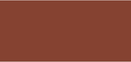 erborian cc cream - Erborian BB Cream Make-up Care Face Kremas SPF 20, 15 ml, Šokoladinis (Chocolat) - 2 nuotrauka