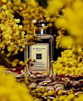 jo malone kvepalai - Jo Malone Wood Sage & Sea Salt 100 ml - 2 nuotrauka