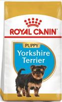 sausas maistas jorksyrams - Royal Canin Yorkshire Terrier Junior 1,5 kg - 1 nuotrauka