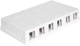 Delock Keystone Surface Mounted Box 6-Port White