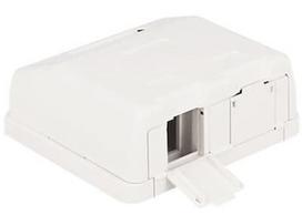 Delock Keystone Surface Mounted Box 2-Port with Dust Cover
