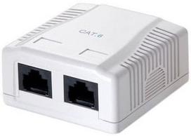 Equip UTP Data Box 2 Port Unshielded CAT6