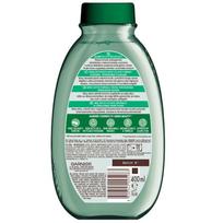 plauku sampunas - Garnier Botanic Therapy Green Tea & Eucaliptus & Citrus šampūnas riebiai galvos odai - 400 ml. - 2 nuotrauka