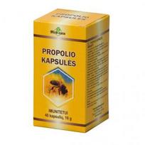 40 mg - Propolio kapsulės, 40 kapsulių - 2 nuotrauka
