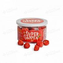 SUPERGARDEN braškės, džiovintos šaltyje, 20 g