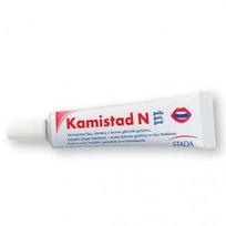 KAMISTAD N, 10 g, burnos gleivinės gelis, N1
