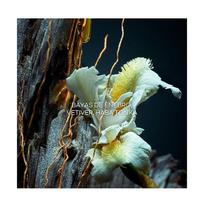 guerlan - Guerlain Vetiver 100 ml EDT - 4 nuotrauka